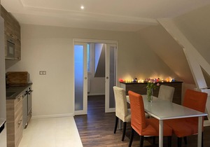 Spacious and elegant apartment 5' DISNEYLAND