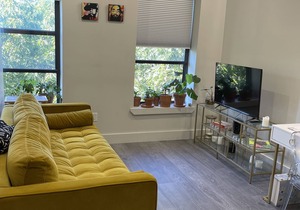 Stylish 1 bedroom in the heart of Bed-Stuy Brooklyn!