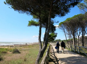 Acquaverde | Bibione