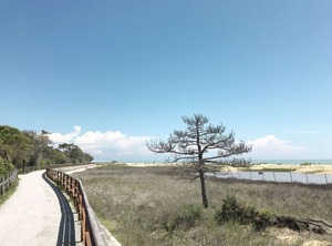 Acquaverde | Bibione