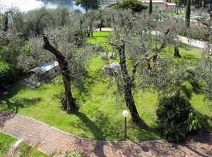 Locazione Turistica Villa | Val di Sogno