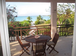 Beach Swim Turtles Hoopers Bay | Great Exuma