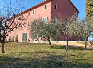 Country The Prosecco Hills | Conegliano