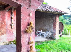Country The Prosecco Hills | Conegliano