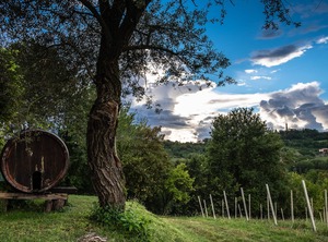 Country The Prosecco Hills | Conegliano
