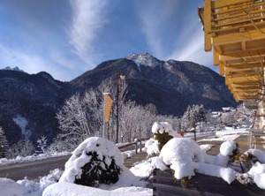 Dolomiti Villa | Venas di Cadore