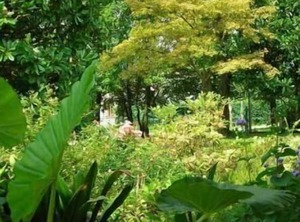 Holiday Pieve Soligo Persons Bedrooms | Pieve di Soligo