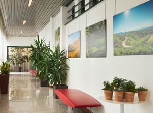 Hotel Eurorest | Visnadello