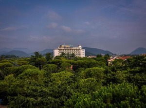 Hotel Terme | Montegrotto Terme