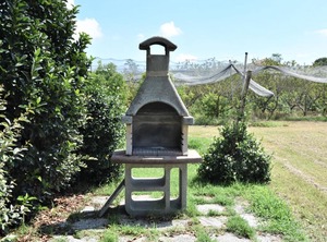 Locazione Turistica Azienda Agricola | Ariano nel Polesine