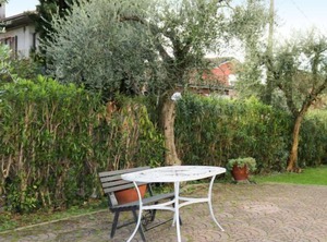 Martin | Lazise