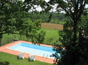 Bardino | Albisano