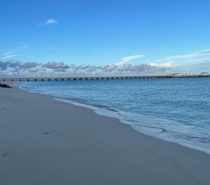 Bimini Bay Resort 