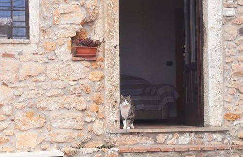 Montebello Vicentino Bed & Breakfast | 15 m² Bed and breakfast ∙ 3 guests
