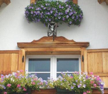 Misurina Hotel | 15 m² Hotel ∙ 4 guests