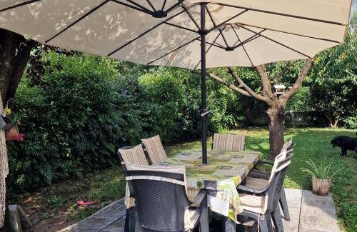 Susegana Bed & Breakfast | 16 m² Bed and breakfast ∙ 2 guests