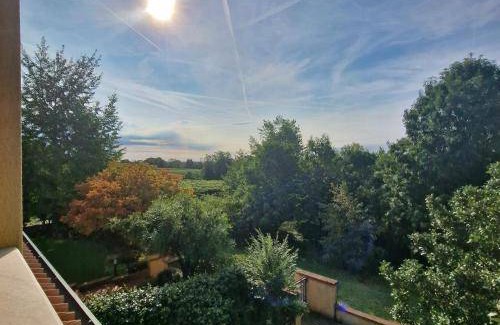 Susegana Bed & Breakfast | 16 m² Bed and breakfast ∙ 2 guests