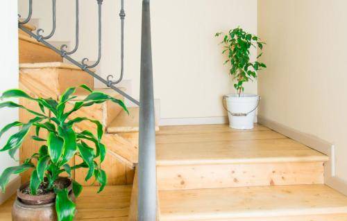Mareno di Piave Bed & Breakfast | 18 m² Bed and breakfast ∙ 2 guests