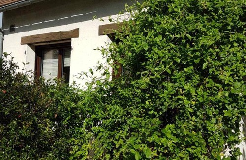 Athis-Mons Bed & Breakfast | 25 m² Bed and breakfast ∙ 1 bedroom ∙ 2 guests