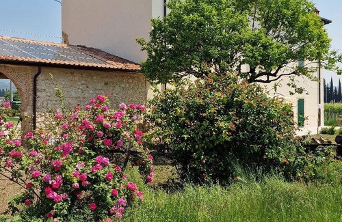 San Pietro in Cariano Bed & Breakfast | 30 m² Bed and breakfast ∙ 2 guests