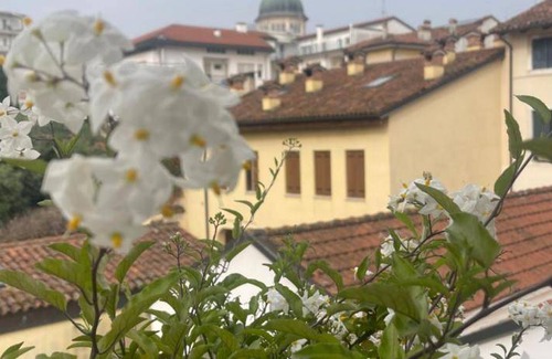 Schio Bed & Breakfast | 30 m² Bed and breakfast ∙ 2 guests