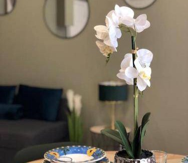 Montreuil Apartment | 39 m² Apartment ∙ 1 bedroom ∙ 4 guests
