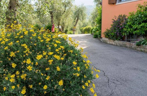 Brenzone sul Garda Resort | 40 m² Resort ∙ 2 bedrooms ∙ 5 guests