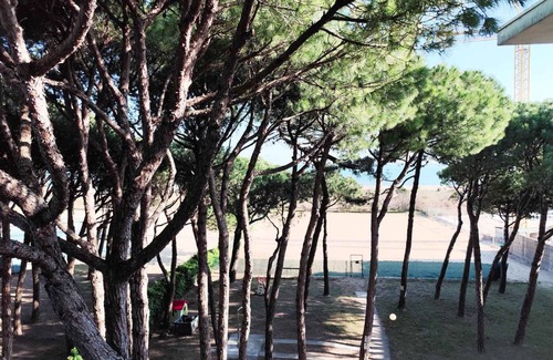 Jesolo Pineta Apartment | 45 m² Apartment ∙ 2 bedrooms ∙ 6 guests