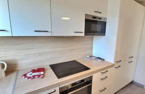 Magny-le-Hongre Apartment | 61 m² Apartment ∙ 1 bedroom ∙ 4 guests