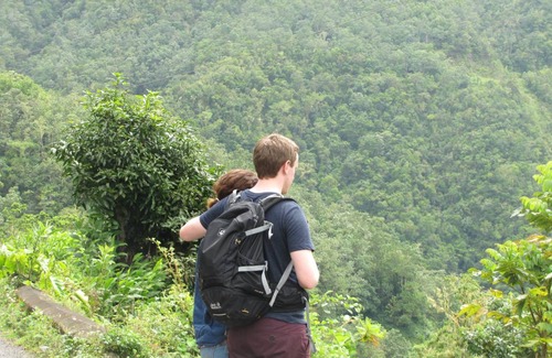 Blue Mountains National Park Apartment | Apartment ∙ 8 guests