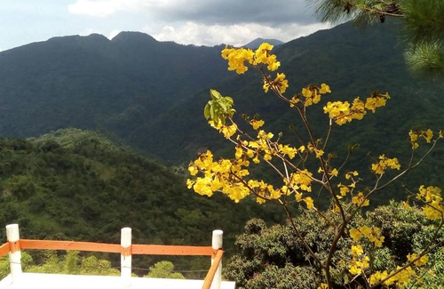 Blue Mountains National Park Apartment | Apartment ∙ 8 guests