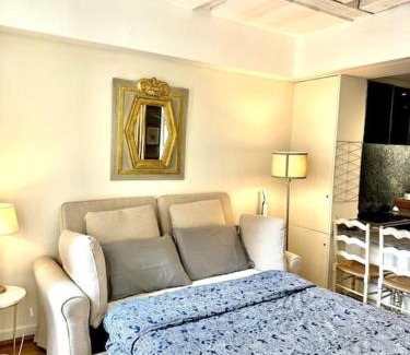 Saint-Germain-des-Pres Apartment | Beautiful flat in Saint-Germain