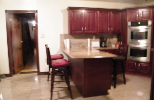 Bedford-Stuyvesant Apartment | BEAUTIFUL GARDEN LEVEL SPACIOUS STUDIO APARTMENT