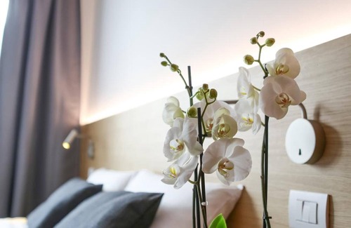 Sud-Ovest House | Bed and Bike Verona