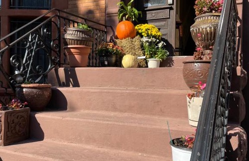 Bedford-Stuyvesant Apartment | Brooklyn Penthouse