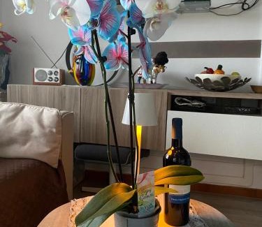 San Zeno di Montagna Apartment | Casa Heli II