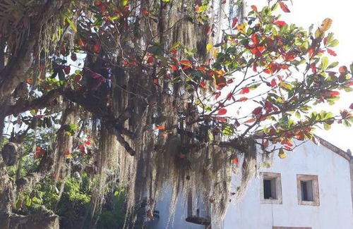 Paraty Hostel | Hostel ∙ 8 guests