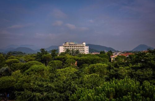 Montegrotto Terme Hotel | Hotel Garden Terme