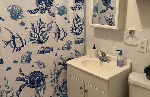 Flatbush Apartment | Huge 2 Bedroom/2 Bathroom Apt