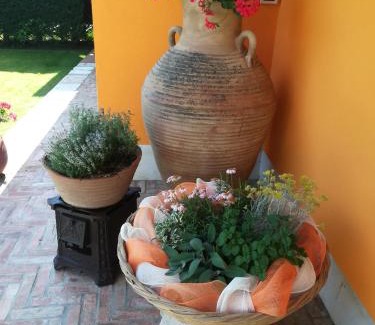Ca' Savio House | La Brigata Apartments Orange House