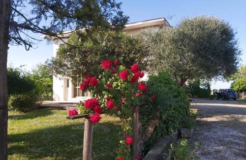 Montegaldella Apartment | La Celeste a Montegaldella -VI - Italia