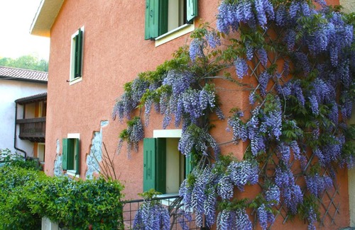 Nogarolo Apartment | La Nicchia