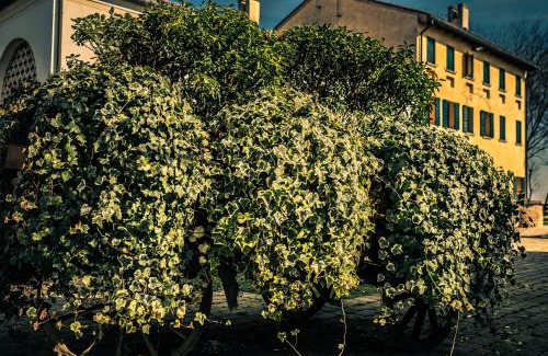 Cessalto House | Le Vigne Morosina