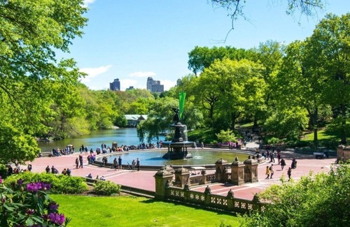 East Harlem Apartment | New2 York Style Stay near Central Park