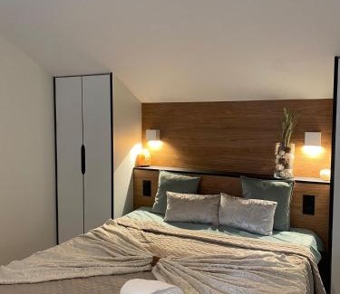 Paray-Vieille-Poste Villa | Paray- Orly - Parking Privé