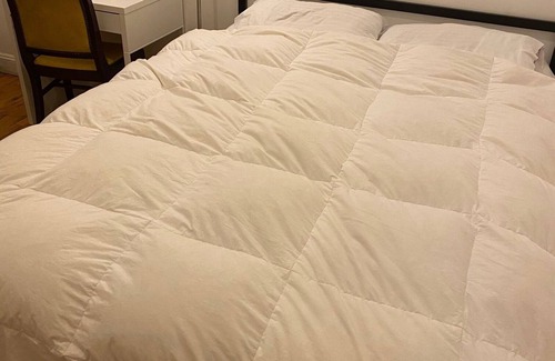 Cypress Hills Apartment | Quiet, spacious, private room in Bushwick, BK!