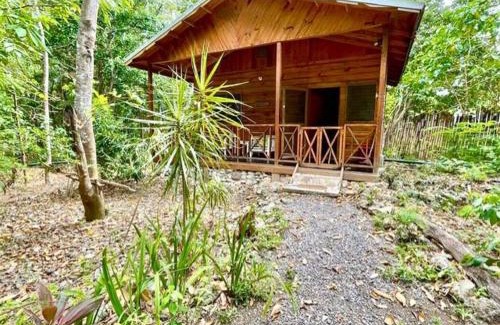 Oracabessa House | Real Jamaica - 5 Cabins right beside the sea