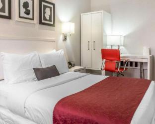 Chelsea Hotel | The Moore, New York City, a Member of Design Hotels