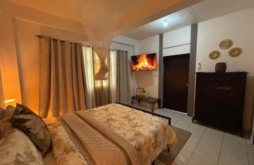 Kingston Apartment | Villa Solara Your Spacious, Central, Affordable Stay in Kingston
