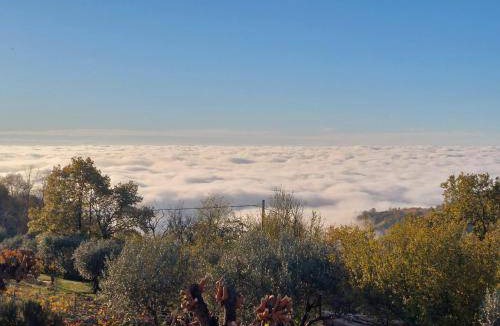 Montebello Vicentino Bed & Breakfast | 15 m² Bed and breakfast ∙ 3 guests